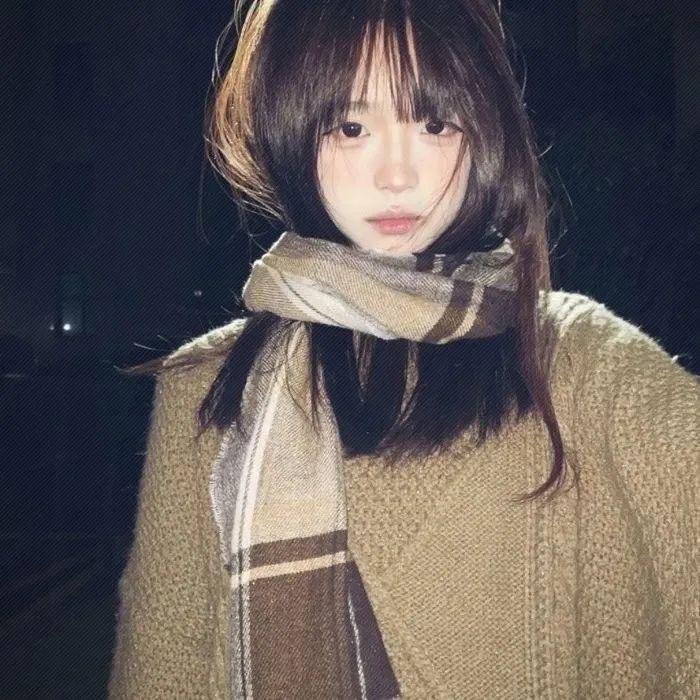 黄色之鸟 在线观看封面
