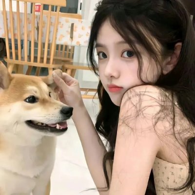 美好生活手册 在线观看封面